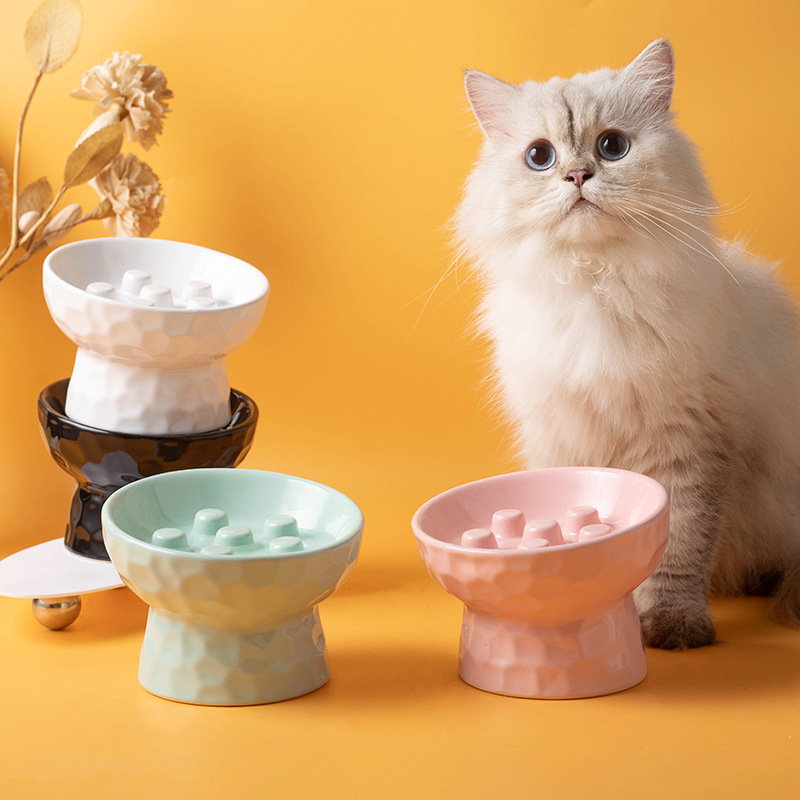 1개 고양이 밥그릇 세라믹 높이 조절형 슬로우 푸드 밥 - Slow Cooker Ceramic 리뷰 및 가격